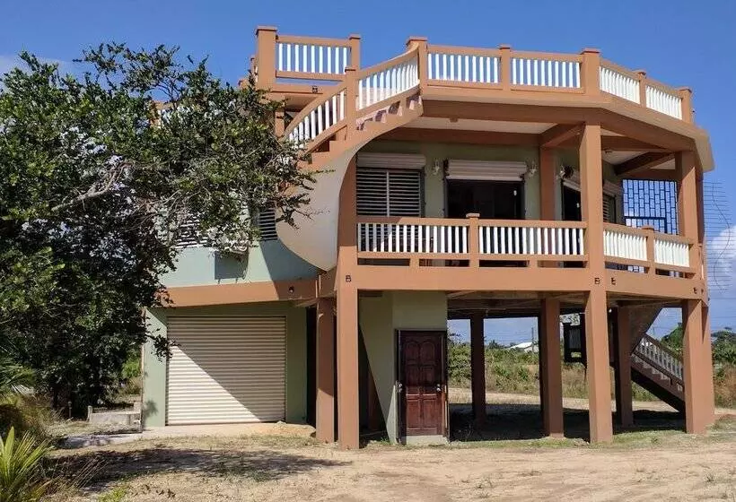 Savannah Sand Dollar