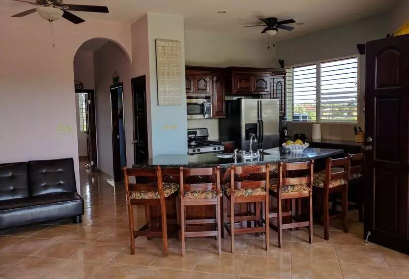 Savannah Sand Dollar