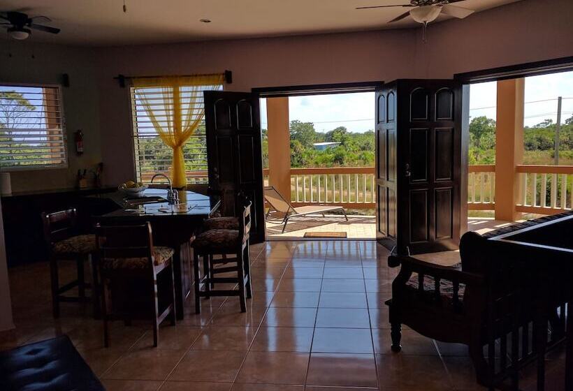 Savannah Sand Dollar