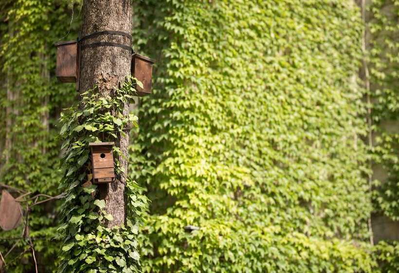 בית מלון כפרי Ambasada Bolesławiec