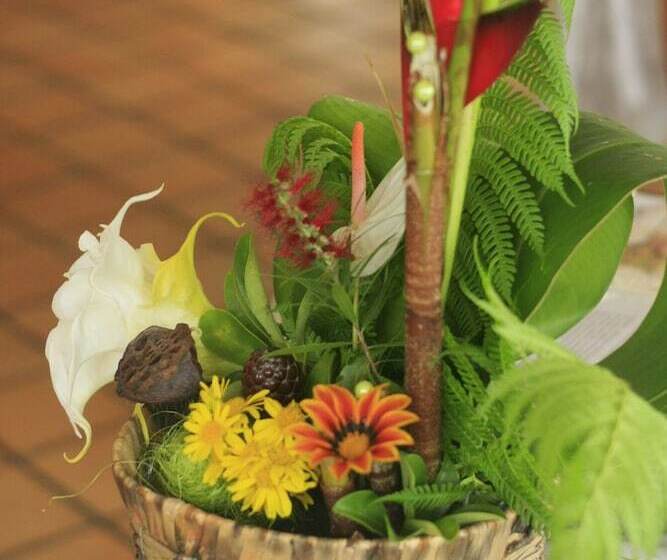 هتل Les Jardins Dheva