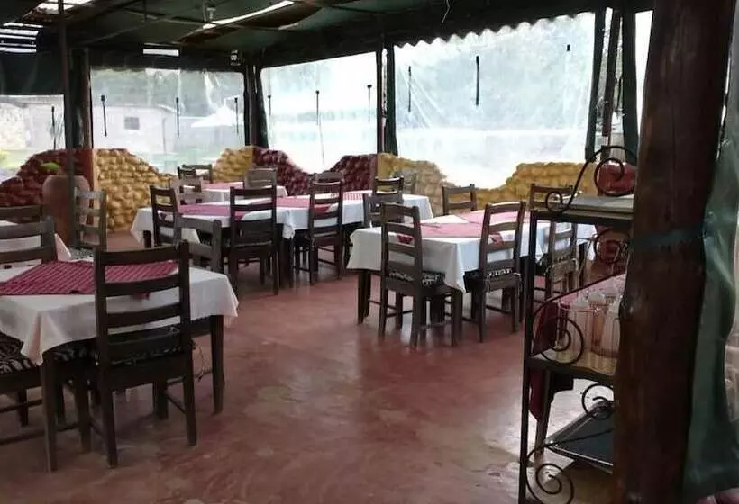 هتل Spice Garden