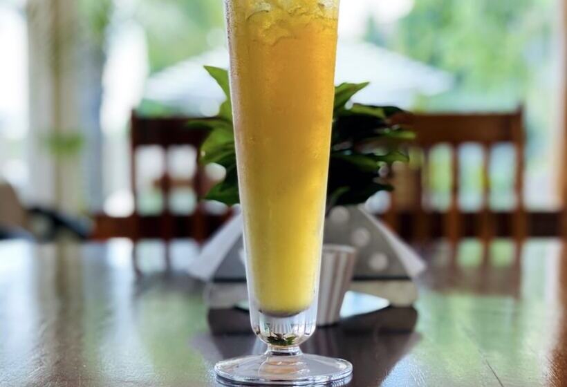 בית מלון כפרי Yog Niketan By Sanskriti