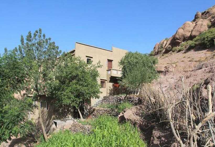 بنسيون Atlas Views