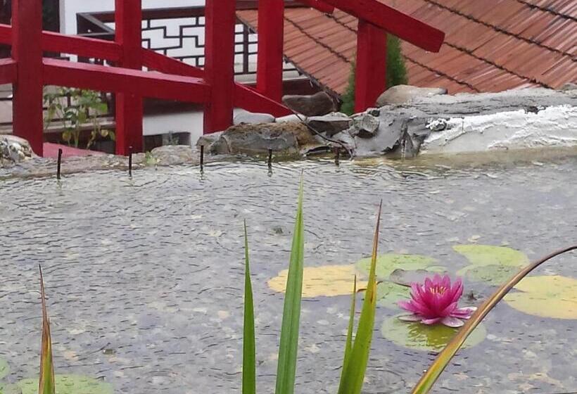 بنسيون Casa Bertha