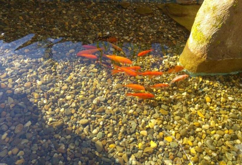 بنسيون Casa Bertha