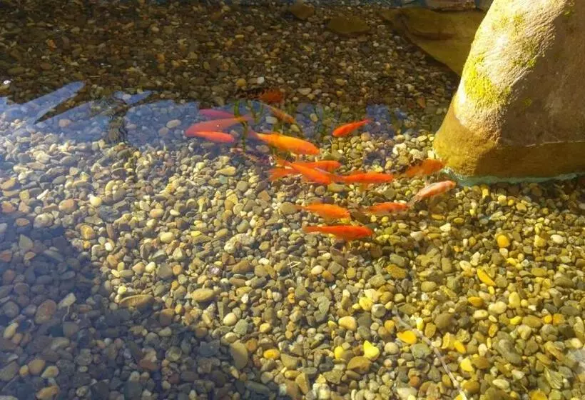 Majatalo Casa Bertha