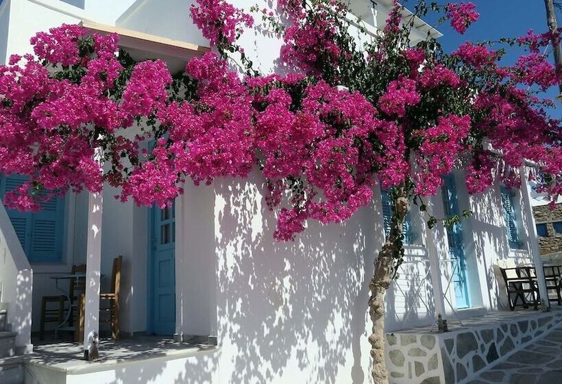 پانسیون Galanis Place