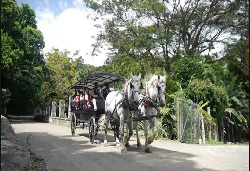 پانسیون Reggae Moon Guest House