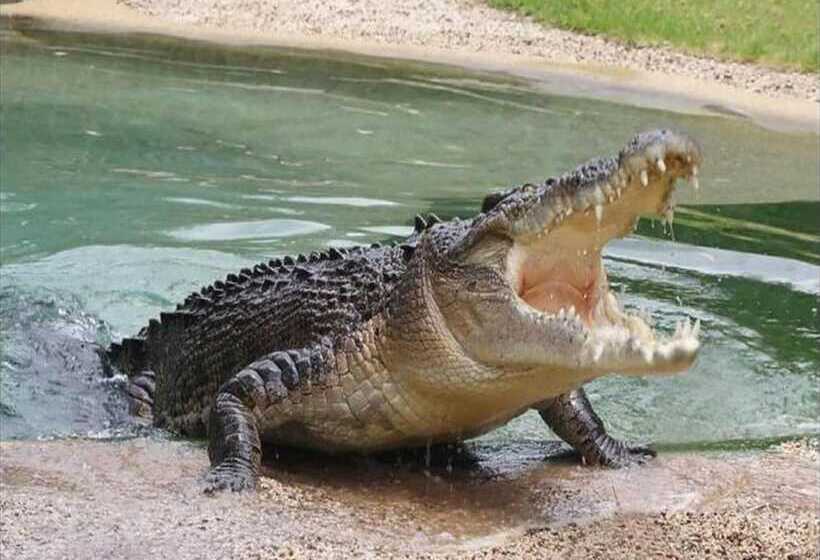 پانسیون Reggae Moon Guest House