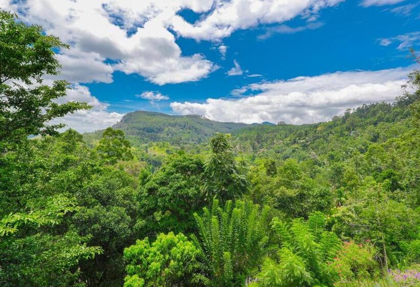 Пансион Zircon Ella