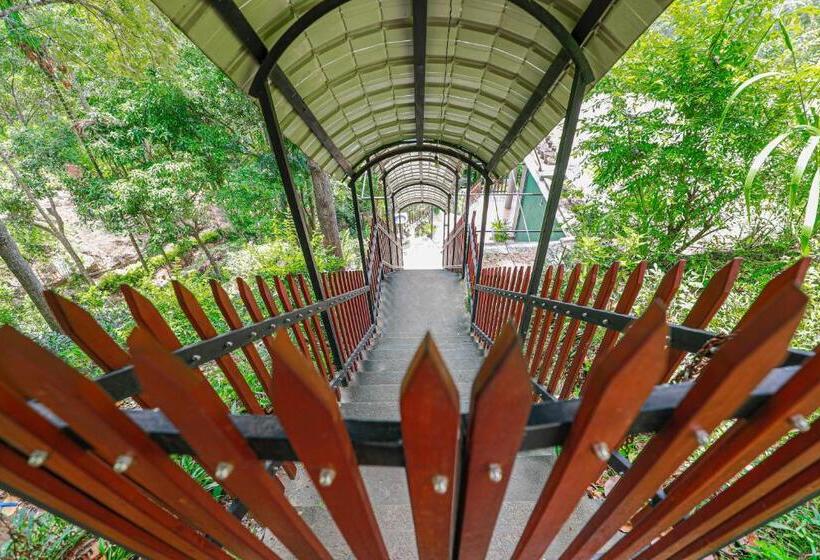 Пансион Zircon Ella