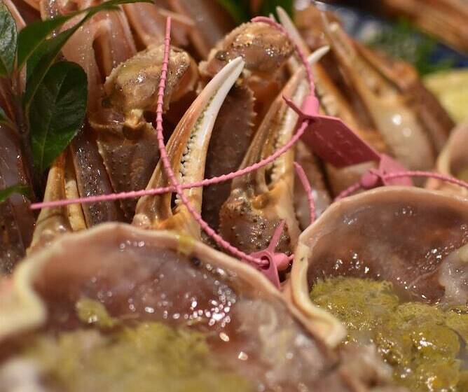 ریوکان Japanese Auberge Matsutsuru