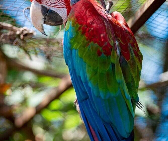 Herberge Jungla De Panama