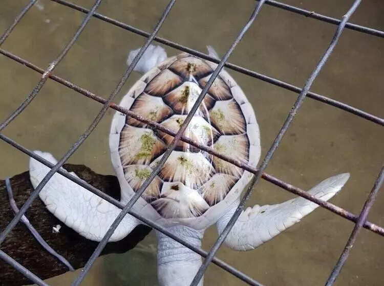 ベッドアンドブレックファースト Amber House Lanka