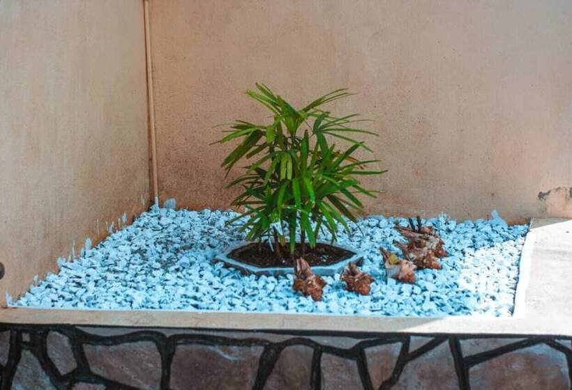 مبيت وإفطار Kansa Hotel, Lda