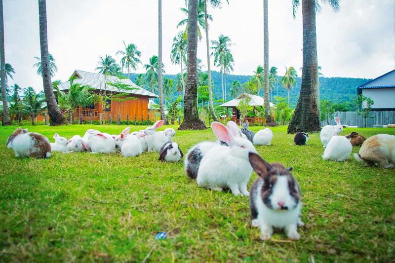 בית מלון כפרי Mafiya Resort