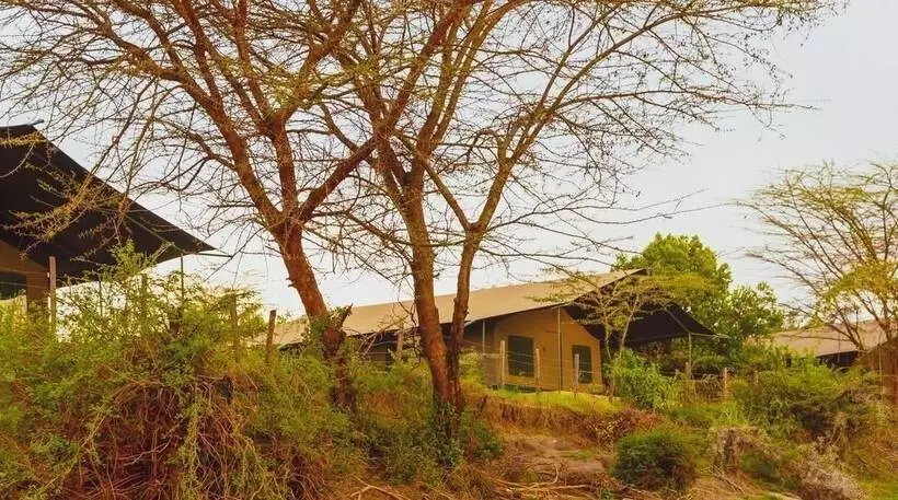 هتل Mara Duma Luxury Camp