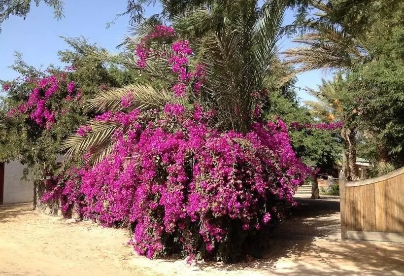 پانسیون Villa Morabeza Guest House