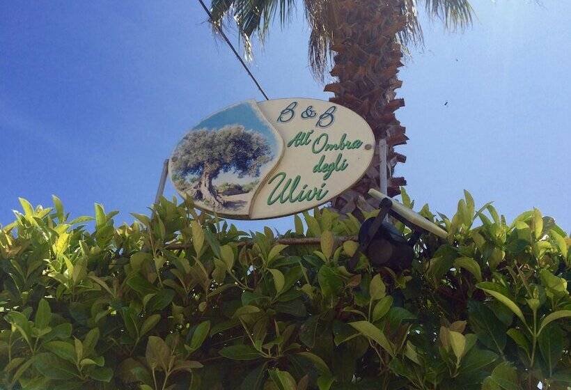 B&b All'ombra Degli Ulivi