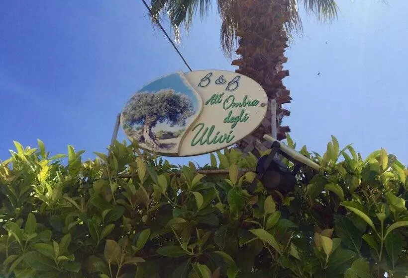 B&b All'ombra Degli Ulivi