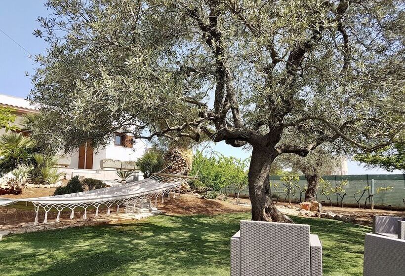 B&b All'ombra Degli Ulivi