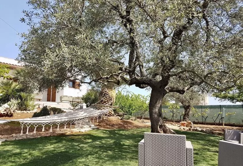 B&b All'ombra Degli Ulivi