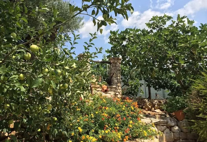 B&b All'ombra Degli Ulivi