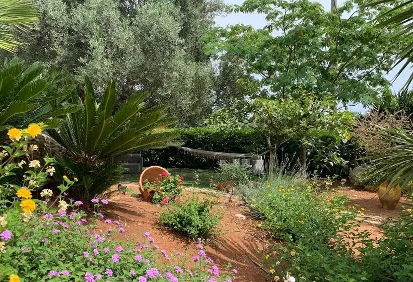 B&b All'ombra Degli Ulivi