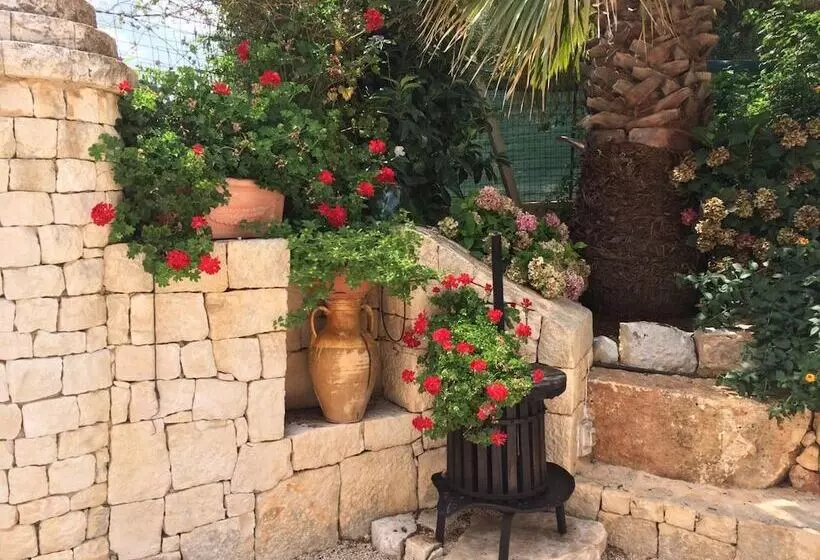 B&b All'ombra Degli Ulivi