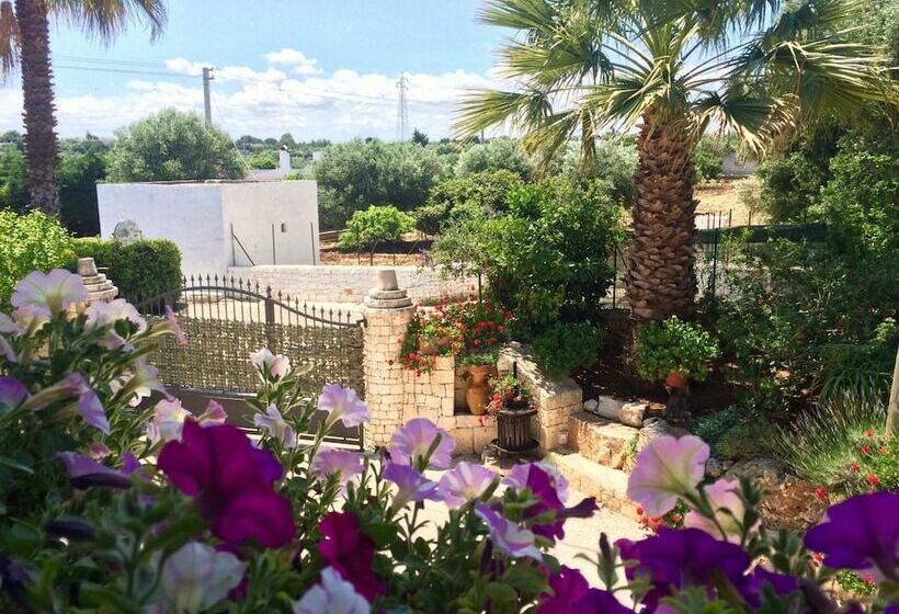 B&b All'ombra Degli Ulivi