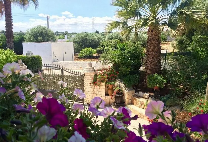 B&b All'ombra Degli Ulivi