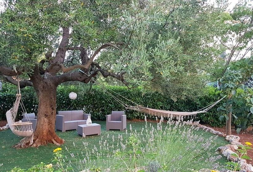 B&b All'ombra Degli Ulivi