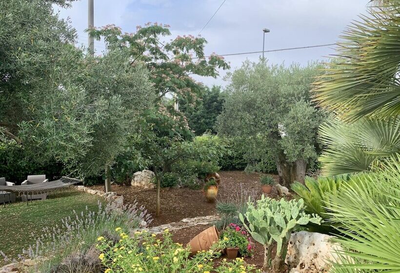 B&b All'ombra Degli Ulivi