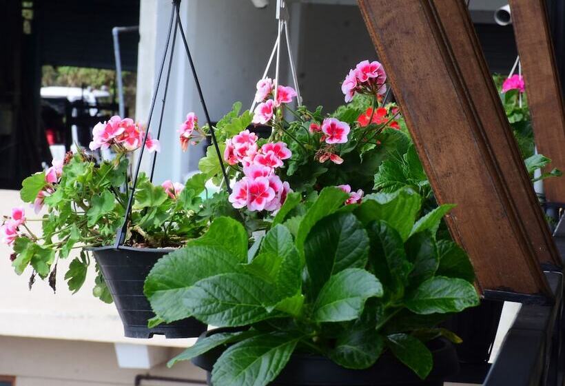 Aamiaismajoitus (B&B) Grand View Guest House & Restaurant