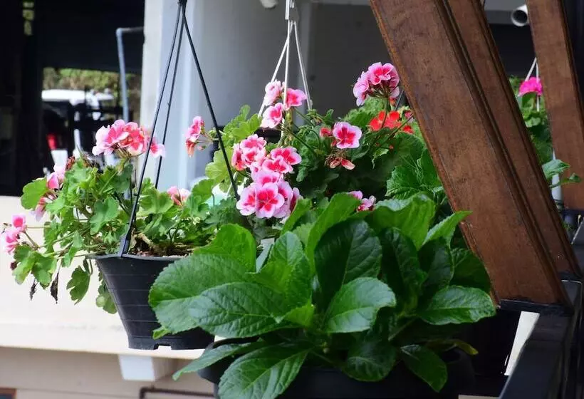 Aamiaismajoitus (B&B) Grand View Guest House & Restaurant