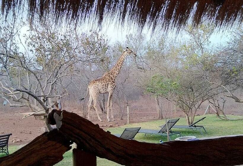 Hotel Call Of The Wild Lodge