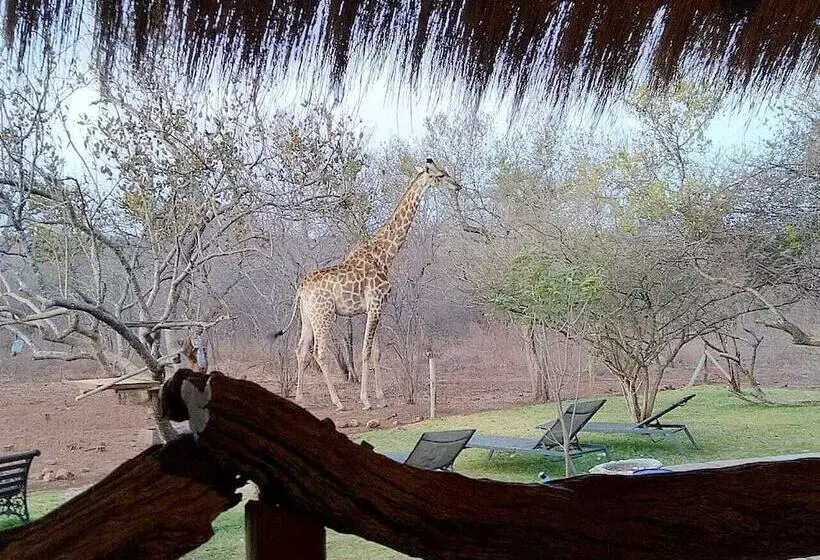 ホテル Call Of The Wild Lodge