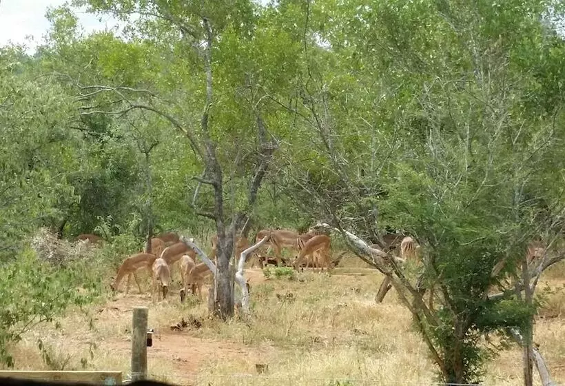 ホテル Call Of The Wild Lodge