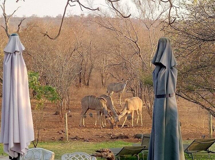 Hotel Call Of The Wild Lodge