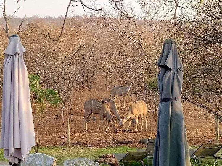 ホテル Call Of The Wild Lodge