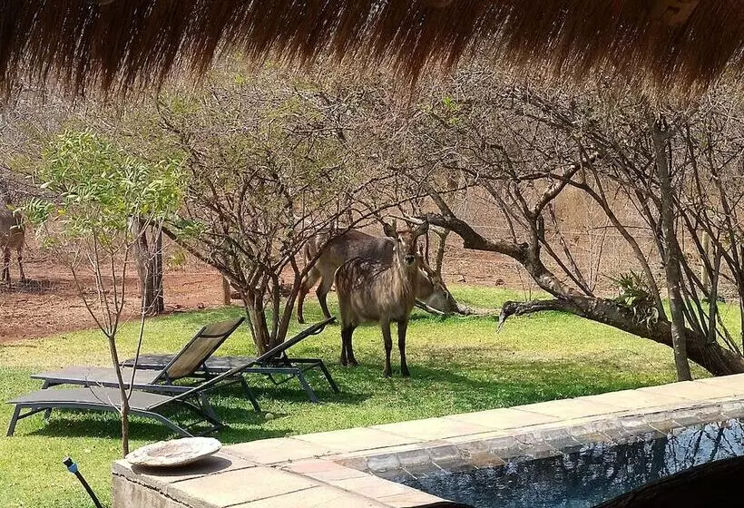 ホテル Call Of The Wild Lodge