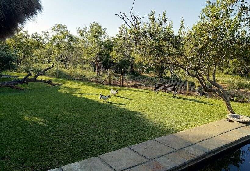 Hotel Call Of The Wild Lodge