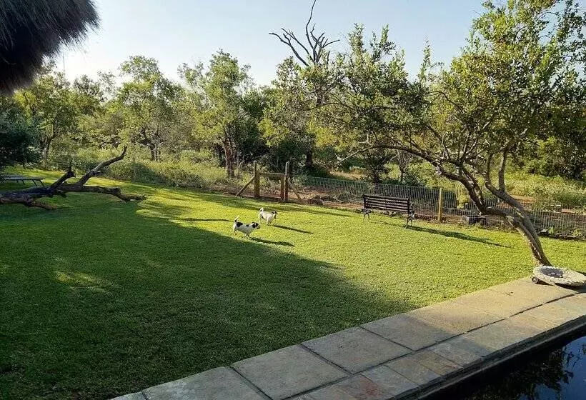 ホテル Call Of The Wild Lodge