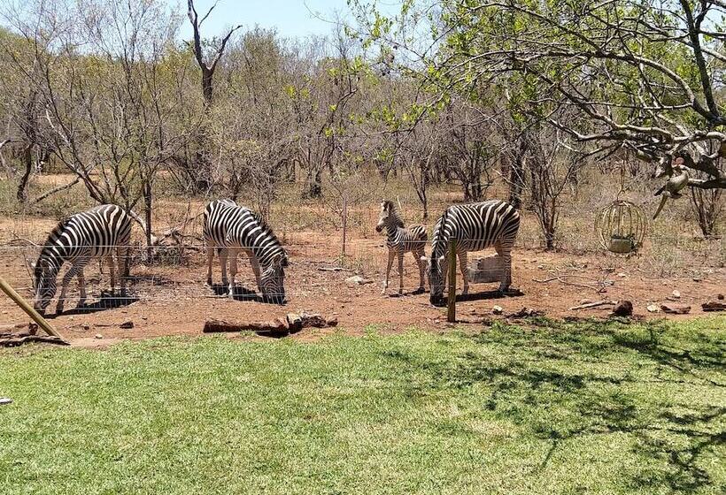 Hotel Call Of The Wild Lodge