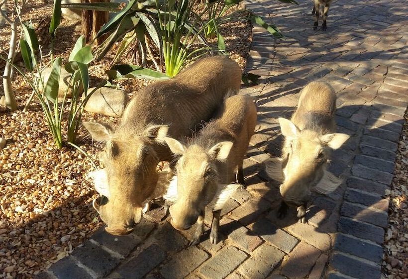 Hotel Call Of The Wild Lodge