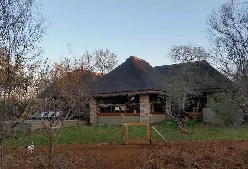 ホテル Call Of The Wild Lodge