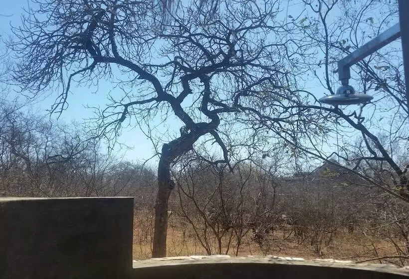 ホテル Call Of The Wild Lodge