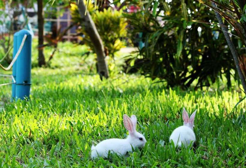 בית מלון כפרי True Blue Beach Resort,trivandrum