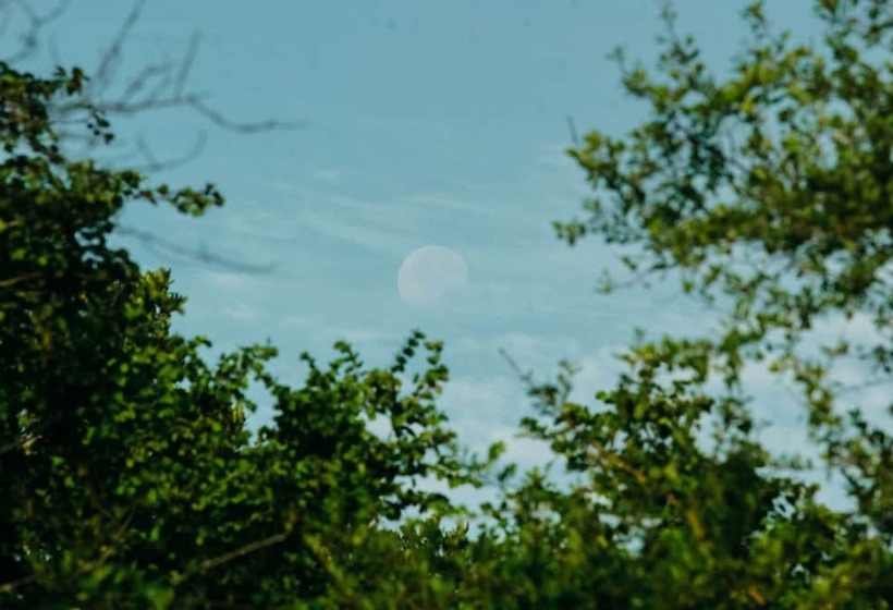 펜션 Yala Wild House